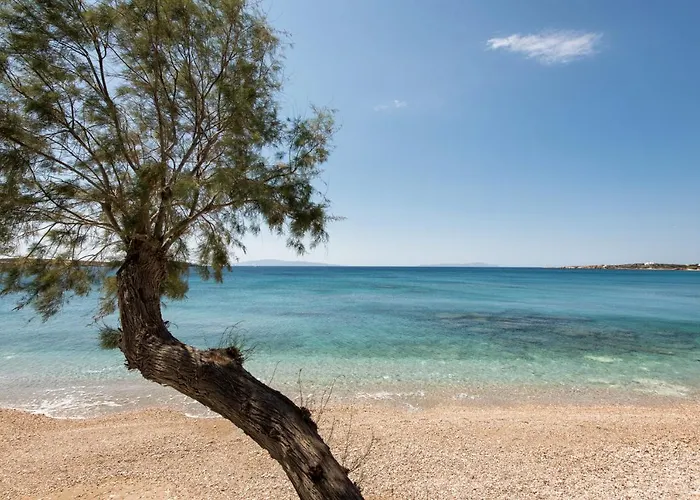 Apartmán Tarsa Drios