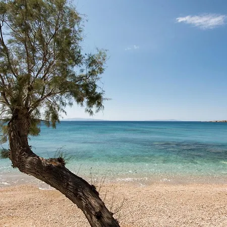 Apartment Tarsa Drios