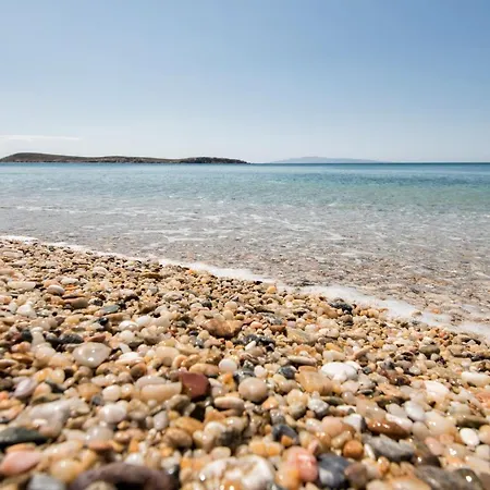 Tarsa * ドリオス